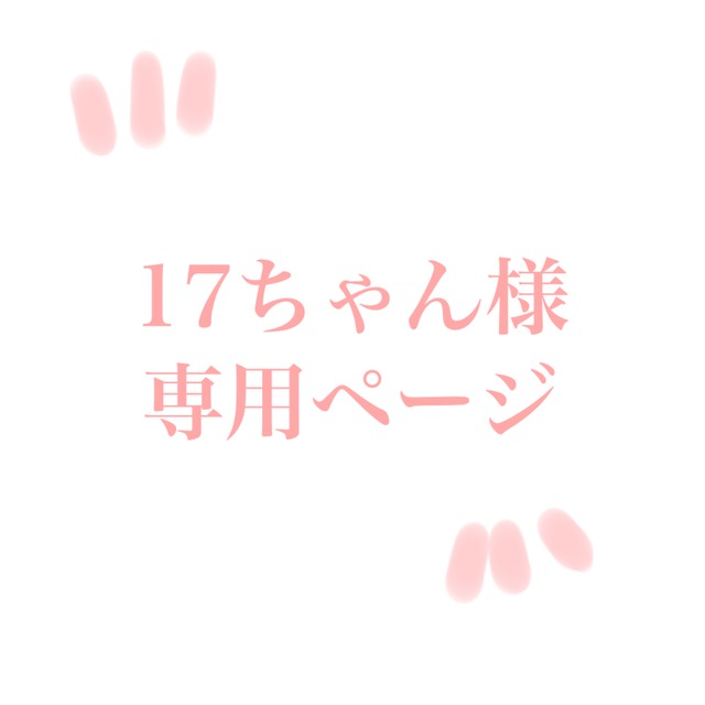 17ちゃん様専用出品