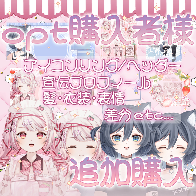 opt購入者様用　追加購入