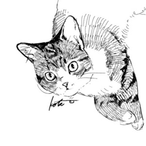 ペットの似顔絵描きます！