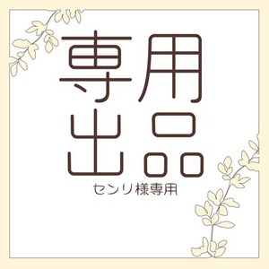 ·専用ページ ‐ みかんねこ様 | SKIMA（スキマ）