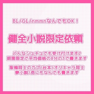 【即日納品可】健全小説