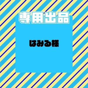 【専用出品】はみる様