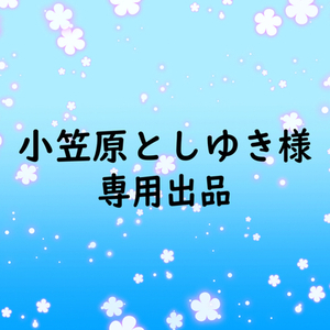 小笠原としゆき様　専用出品