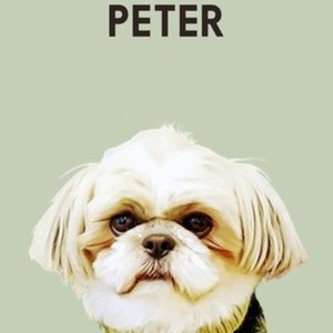 ペット（uchinoco）のお写真をオシャレなイラストにします 。