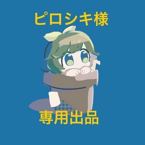 ピロシキ様　専用出品
