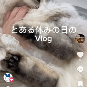 ショート動画作成します