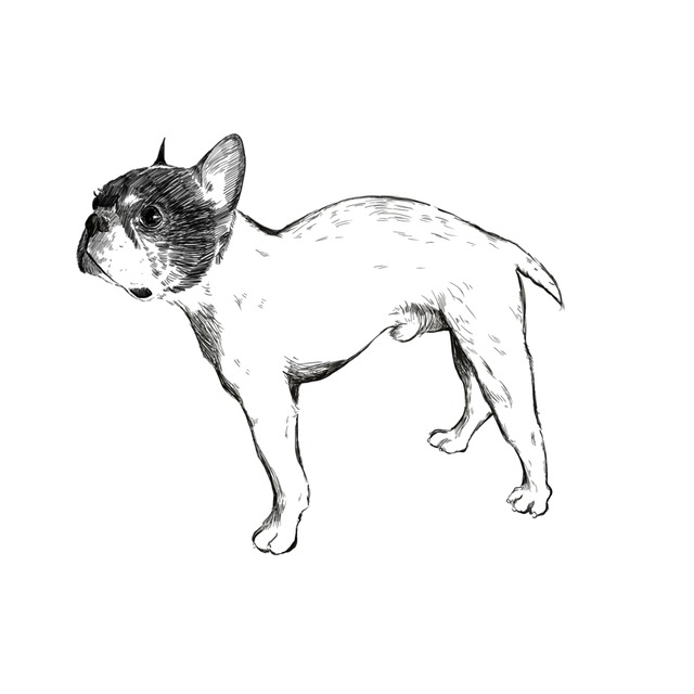 世界に一枚！ワンコの似顔絵書きます^ ^