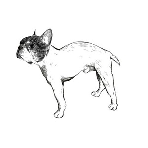 世界に一枚！ワンコの似顔絵書きます^ ^