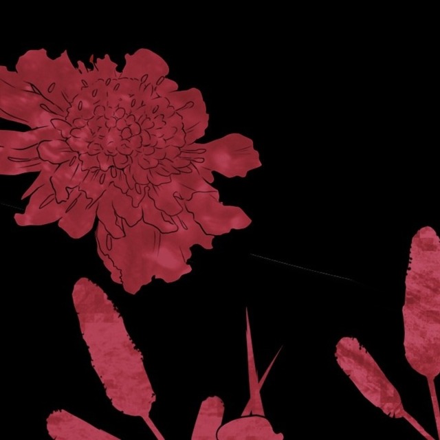 鈴鹿様専用出品