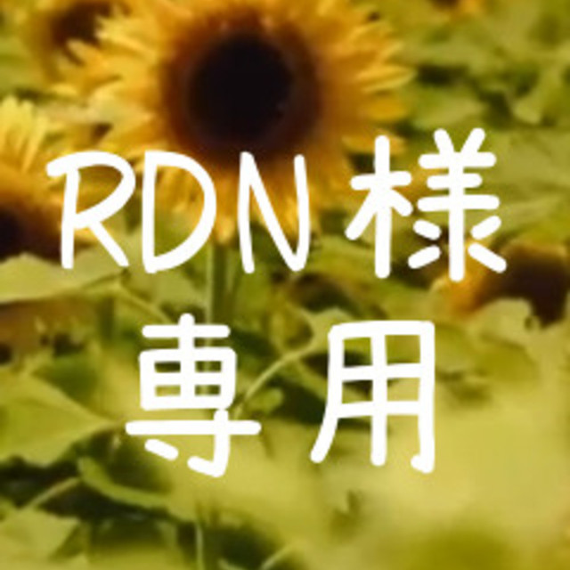 RDN様専用 一枚絵背景イラスト