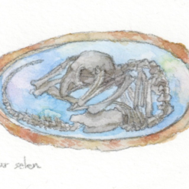 水彩画小カット制作