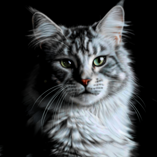 猫さんの肖像画を描きます