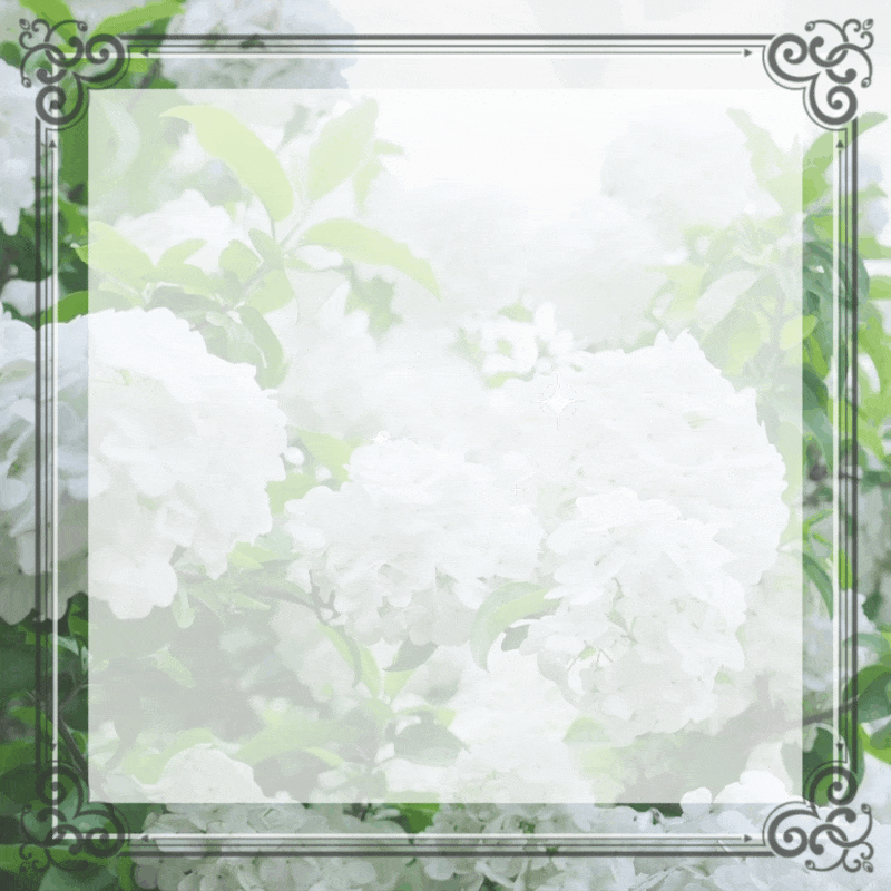 12月,1月受付中|ブロマンスや他各種、ストーリー重視のオリジナル小説