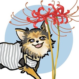 ペットのお写真からイラストを描きます！