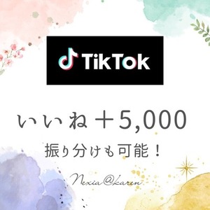 TikTokで爆発的エンゲージメント！＋5000いいね増加