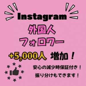 Instagram 多国籍フォロワー+5,000人 減少保証付