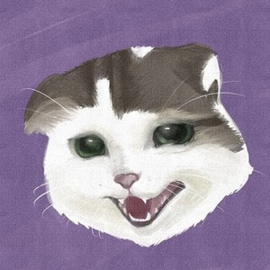 猫ちゃんわんちゃん動物描きます🐈🐩🦜🐇