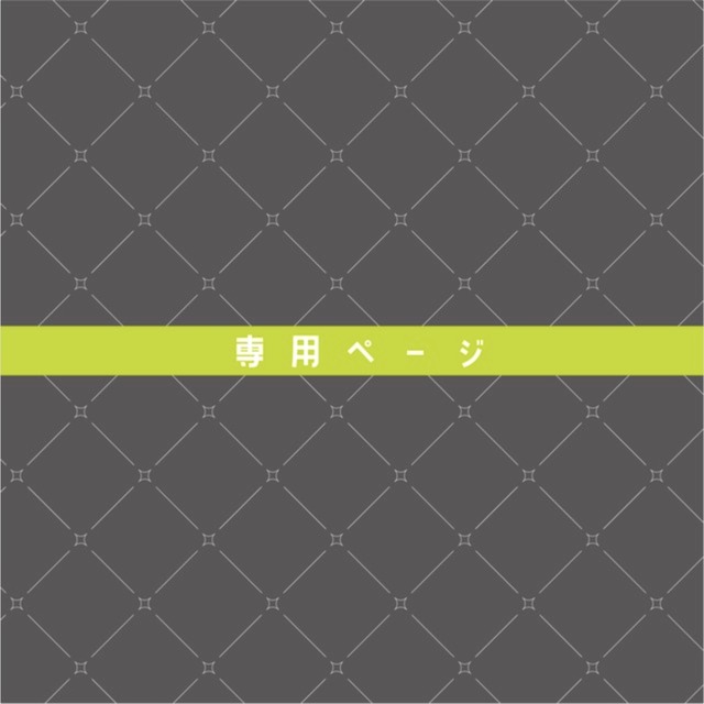 蒸気兎様専用出品