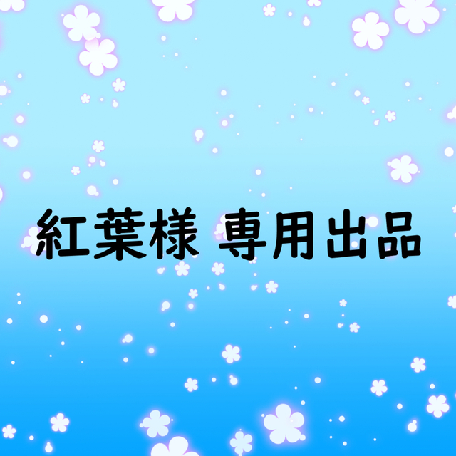 紅葉様専用出品
