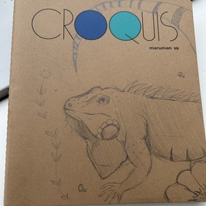 爬虫類描きます！