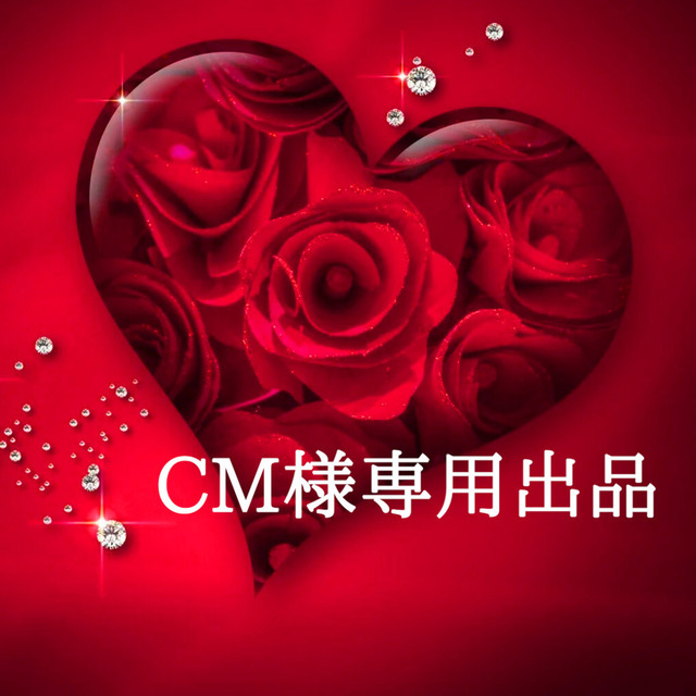 CM様専用出品