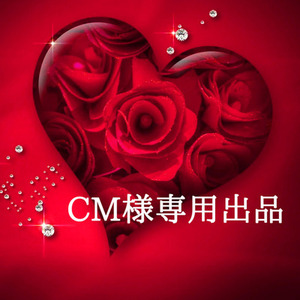 CM様専用出品