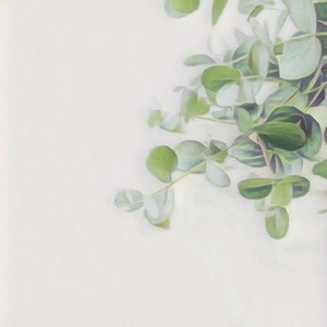 気分に合わせたアロマブレンドご提案します