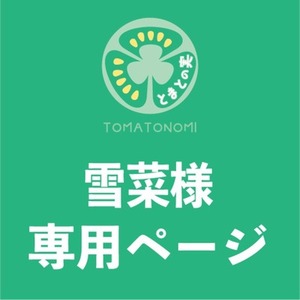 【雪菜様専用ページ】