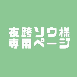 夜跨ソウ様専用ページ
