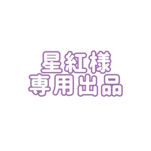 星紅様 専用出品