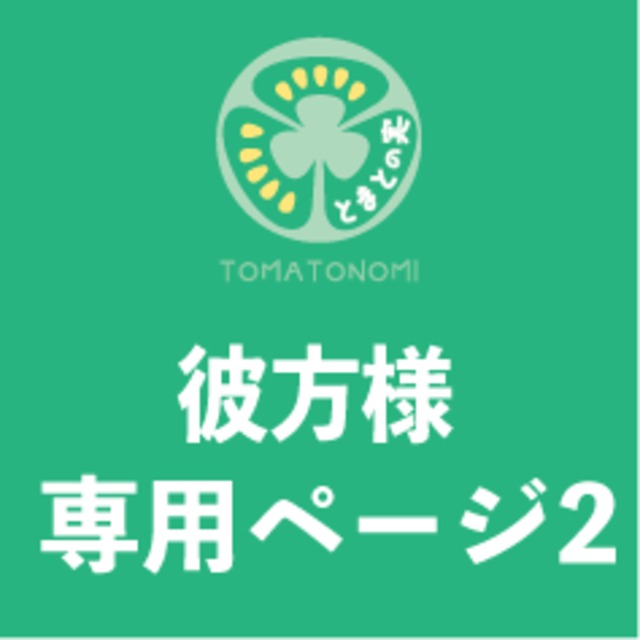 【彼方様専用ページ２】