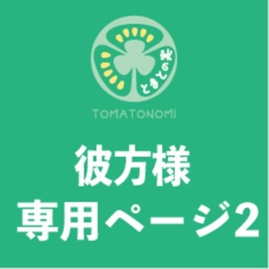 【彼方様専用ページ２】