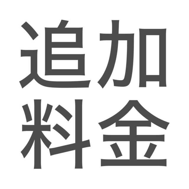 追加支払い用購入ページ