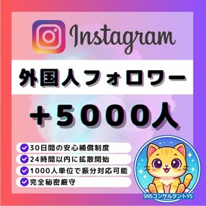 【💎Instagram】外国人フォロワー＋5,000人増加いたします