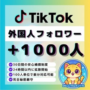 【💎TikTok】 外国人フォロワー＋1,000人増加いたします