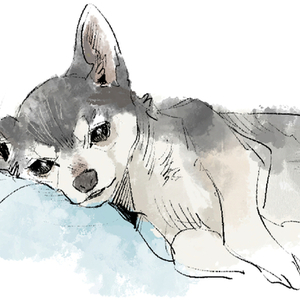 ペットのイラスト、描きます！