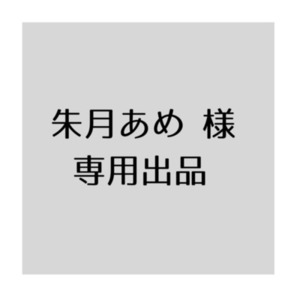 【朱月あめ様】専用出品
