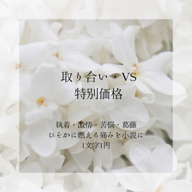 取り合い・VS特化小説