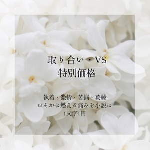 取り合い・VS特化小説