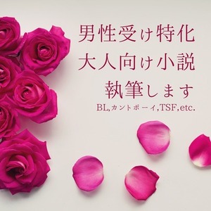 男性受け特化型大人向け小説執筆いたします