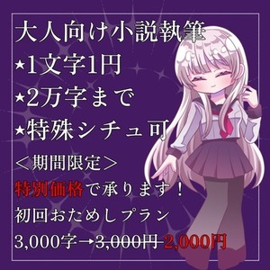 【初回おためしプラン有】大人向け小説執筆いたします！【1文字1円】