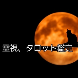 霊視、タロット鑑定致します
