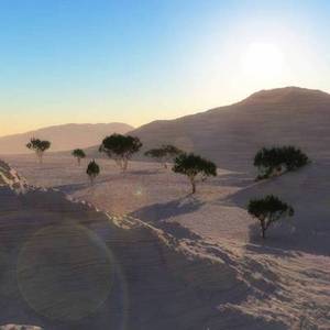 marotakkei様専用ページ