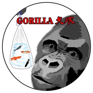 Twitter、インスタ等のアイコン(デジタルイラスト)