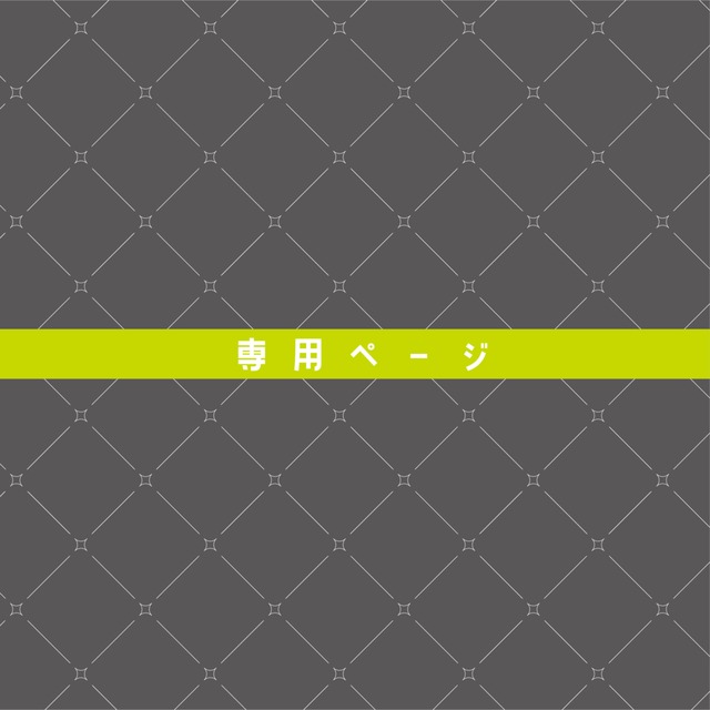 Mtsmi様 専用出品