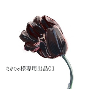 たかのふ様専用　ゲームキャラクター基本プラン