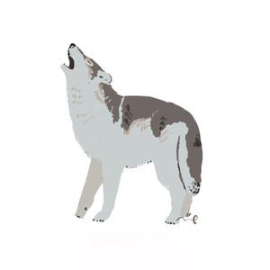 リテイク・調整