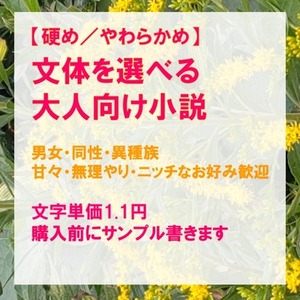 詳細指定もおまかせも。大人向け小説執筆します