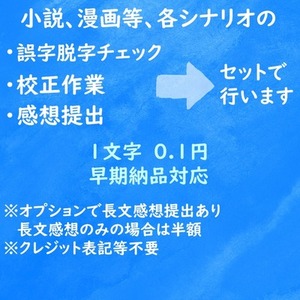 💎誤字脱字確認 校正 感想提出を行います