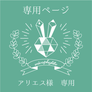 アリエス様専用